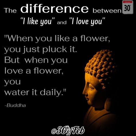 The difference between "I like you" and "I love you". If you understand this, you understand life! #buddha #quote #30thofFeb Quotes About Attachment, And I Love You, Gautama Buddha, Buddha Quote, Buddha Quotes, S Quote, When You Love, Liking Someone, Motivational Quotes For Life