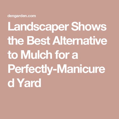 Landscaper Shows the Best Alternative to Mulch for a Perfectly-Manicured Yard Alternatives To Mulch, Mulch Alternatives, Grass Alternative, Edging Stones, Mulch Landscaping, Outdoor Bbq Area, Low Maintenance Landscaping, Growing Roses, Home Landscaping