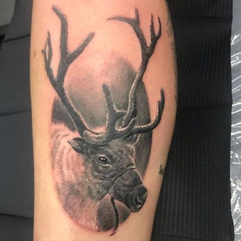 15+ Best Reindeer Tattoo Designs and Ideas Reindeer Tattoo Design, Reindeer Tattoo, Trible Tattoos, Beverly Hills Chihuahua, Christmas Tattoo, Reindeer Decorations, Tattoo Design Ideas, 50 Christmas, Snow Dogs