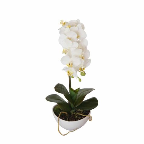 Top 7 Outdoor Artificial Plants To Decorate Your Space Office Coffee Area, Large Vertical Garden, Vertical Garden Pots, Vertical Garden Wall Planter, Coffee Table Arrangements, Butterfly Orchid, Coffee Area, Orchid White, Dainty Butterfly