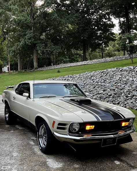 1990 Ford Mustang, 1970 Mustang Mach 1, Classic Muscle Cars, Vintage Mustang, Old Muscle Cars, Old Vintage Cars, New Retro Wave, Street Racing Cars, Mustang Cars