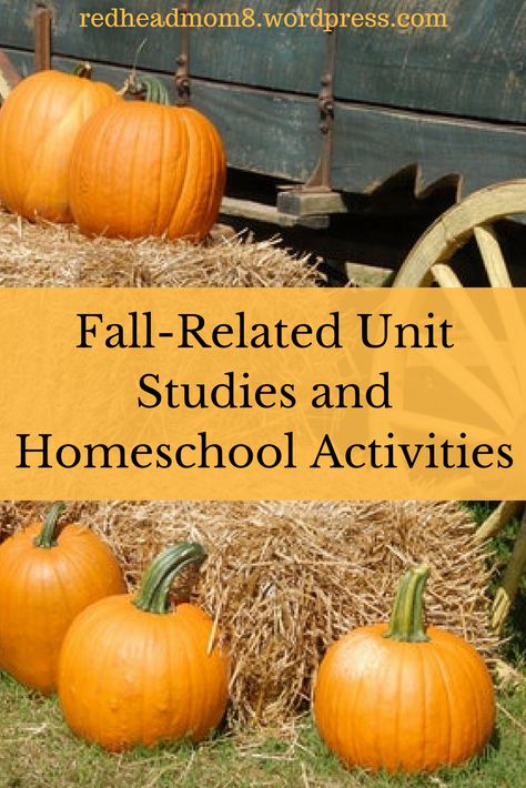 Homeschooling 3rd Grade, Homeschool Fall Activities, Homeschooling Curriculum, Unit Studies Homeschool, Homeschool Elementary, Homeschool Education, Autumn Activities For Kids, Unit Studies, Mackenzie Ziegler