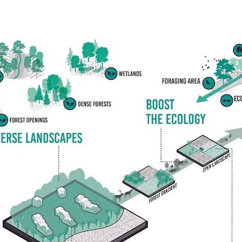 DELVA on Instagram: "WOODLAND | DURBUY
 
In Durbuy, our design integrates forest development and landscape enhancement, prioritizing ecological farming, water management, afforestation, and sustainable housing. We begin with actions to foster a diverse ecosystem, including forests, buffer zones, terraces, food forests, flower meadows, and water bodies, recognizing that every challenge presents an opportunity to address pressing ecological and climate concerns.

#afforestation #architecture #belgium #climate #delva #durbuy #ecology #foodforest #forest #forestation #greening #habitat #healthyliving #landscape #trees #watermanagement" Ecological Landscape Design, Food Forests, Flower Meadows, Sustainable Housing, Buffer Zone, Food Forest, Water Management, Water Bodies, Landscape Trees