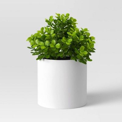 First Home Checklist, Boxwood Plant, Indoor Plants Styling, Bring The Outdoors Inside, Indoor Oasis, Artificial Plants Indoor, Fake Plants Decor, Inside Decor, White Pot