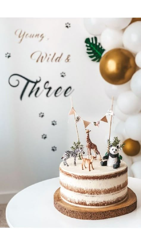 Wild Safari Cake, Two Wild Birthday Party Cake, Wild Cake Birthday, Wild Three Birthday Cake, First Birthday Cake Wild One, Wild And 3 Birthday Cake, Wild Two Birthday Cake, Wild Three Birthday Party Boy, Two Wild Birthday Cake Ideas