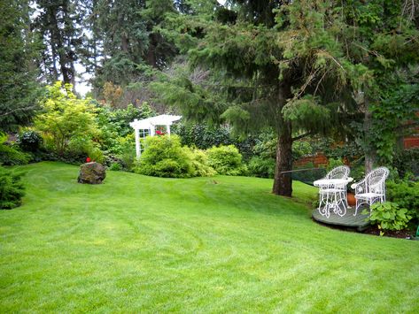 More from Bob and Claudia's garden in Idaho - FineGardening Cheap Landscaping, Cheap Landscaping Ideas, Gardens Of The World, Growing Gardens, Art Skills, Beautiful Yards, Lawn And Landscape, Fine Gardening, Front House Landscaping