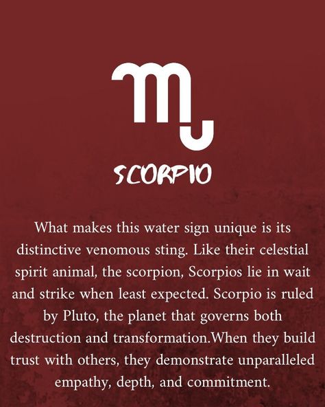 Scorpio Zodiac Facts Men, Scorpio Description, Scorpio Characteristics, Scorpio Personality, All About Scorpio, Zodiac Quotes Scorpio, Scorpio Traits, Zodiac Characters, Zodiac Signs Chart