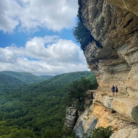 The narrow Goat Bluff trail to Big... - Ozark Mountain Region | Facebook Ozark Mountains, Ozark Trail, Goats, Buffalo, Favorite Places, Hiking, Good Things, Band