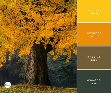 Brown Contrast Color Schemes, Color Palette Canva, Vintage Colour Palette, Website Color Palette, Gold Color Palettes, Color Plan, Using Canva, Color Pallete, Harvest Gold