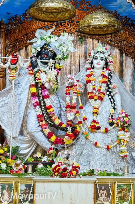 Radha Krishna Wallpaper Iskon Temple, Iscon Temple Radha Krishna, Phone Case Diy Paint, Krishna Temple, Radhe Shyam, Sanatan Dharma, Hindu Dharma, God Images, Krishna Book