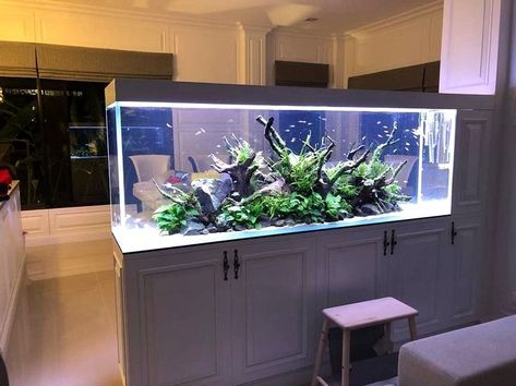 Tank Aquariums, Large Fish Tanks, Wall Aquarium, Coral Reef Aquarium, Small Fish Tanks, Fish Tank Design, Underwater Plants, Nature Aquarium, Home Aquarium