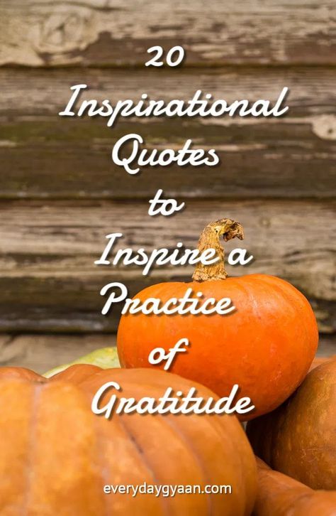 On Thanksgiving Day, it's only natural that I should talk about how gratitude has changed my life and share with you some inspirational quotes to inspire a practice of gratitude. Thank You Quotes For Helping, Edwin Arlington Robinson, Optimism Quotes, Meister Eckhart, Thanksgiving Background, Rustic Thanksgiving, Some Inspirational Quotes, Ann Voskamp, Michael J Fox