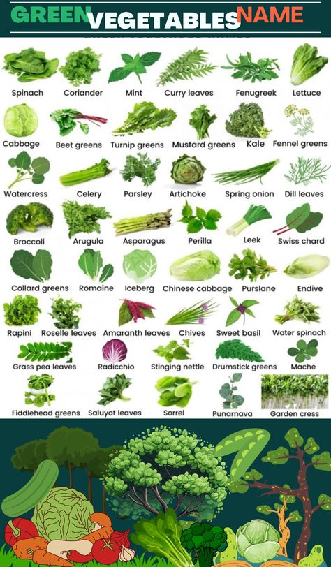 Green vegetables name Green Leaf Vegetables, Green Vegetables List, Green Vegetables Name, Vegetables Name, Basil Water, List Of Veggies, Anant Ambani And Radhika Merchant, Name Of Vegetables, Fenugreek Benefits