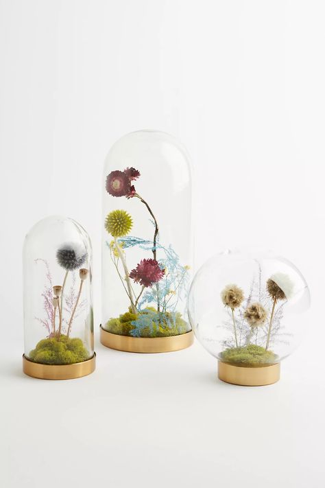 Floral Curiosity Cloche | Anthropologie Poppy Pods, Lotus Pods, Kid Rooms, Fur Throw Blanket, Lavender Buds, Botanical Design, Bhldn Weddings, Pillow Room, Glass Vessel