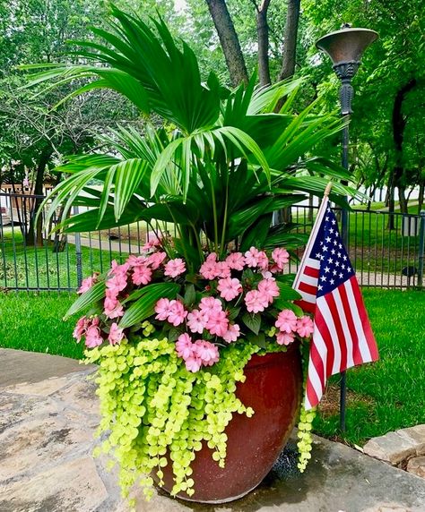 Potted Plants By Pool Patio, Flowers Patio Ideas, Large Potted Plants Outdoor Sun, Filler Flowers For Pots, Outdoor Patio Pots & Planters, Spillers Fillers Thrillers, Summer Potted Plants Patio, Large Flower Pot Ideas Full Sun, Summer Planter Ideas Full Sun