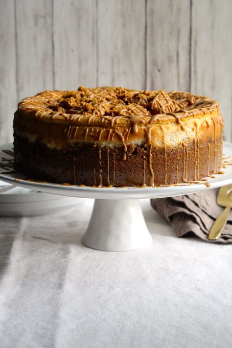 Bischoff Cheesecake, Fusion Food Ideas, Cheesecake Biscoff, Cheesecake Lotus, Cookie Butter Cheesecake, Ginger Shortbread, Fusion Desserts, Cheesecake Ideas, Tiramisu Trifle