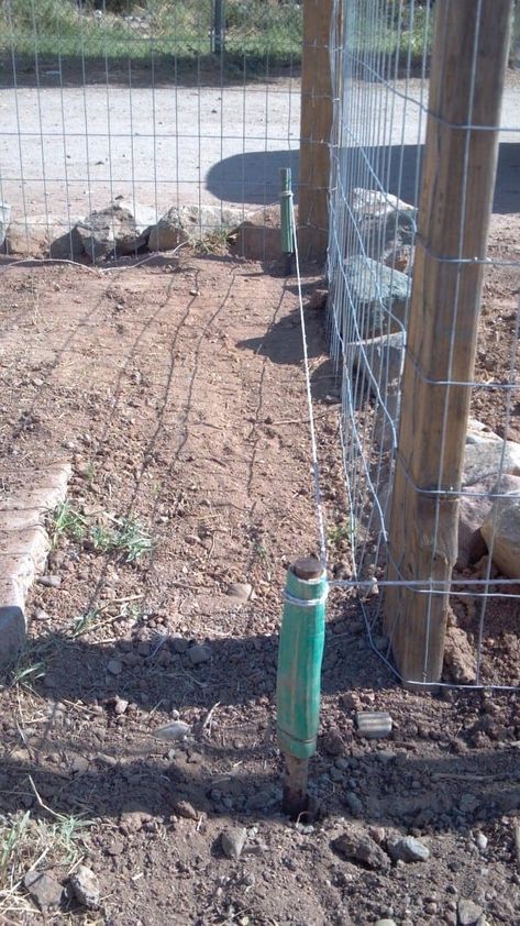 Diy Electric Fence, Wire Dog Fence, Goat Fence, Wire Dog, Coop Ideas, Homeless Dogs, Electric Fence, Goat Farming, Wire Fence