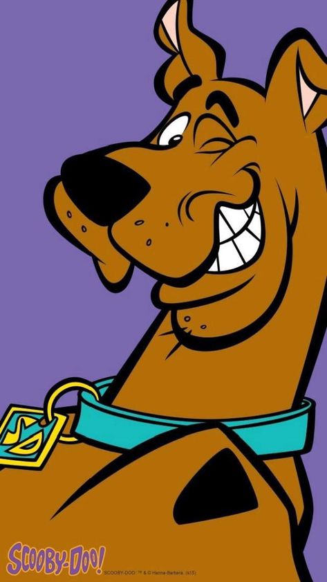 90s Scooby Doo, Xray Markers, Scooby Doo Pictures, Scooby Doo Mystery Inc, Scooby Doo Movie, Scooby Doo Images, Scooby Doo Mystery Incorporated, Scooby Doo Mystery, Morning Cartoon