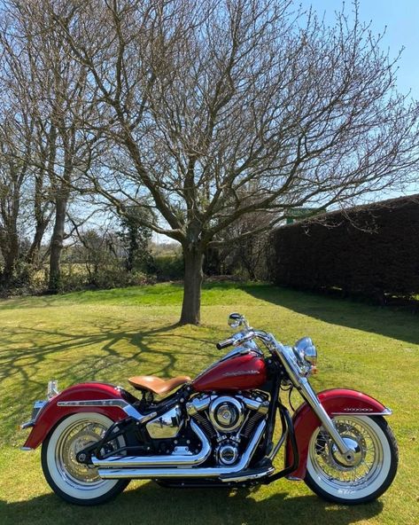 Sykes Harley-Davidson on Instagram: “The Bike Of The Day 2019 Softail Deluxe in two tone Wicked Red & Twisted Cherry This stunning Softail Deluxe comes to us fitted with a…” Red Harley Davidson, Harley Softail Deluxe, Pose Stock, Moto Harley Davidson, Harley Davidson Softail, Motos Vintage, Red Motorcycle, Motorcross Bike, Classic Harley Davidson