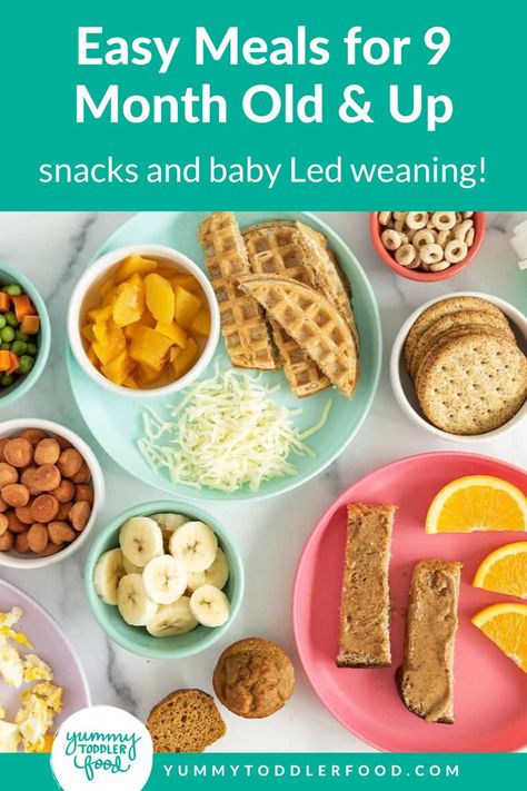 Easy Meals and Snack Ideas for 9 Month Old and Up. This cheat sheet of nutritious food ideas makes feeding your 9-12-month-old babies easy and gives them the essential nutrition for growing that they require. Find all sorts of solid baby food ideas here from breakfast ideas to baby lunch recipes, healthy dinners, and everything in between. Baby Led Weaning and more including fresh fruit and veggies. Baby Food Recipes 9 12 Months, Finger Foods For 11 Month Old Baby, Baby Food For 10 Month Old, Snacks For 10 Month Old, What To Feed My 10 Month Old, Snacks For 13 Month Old, Recipes For Babies 9-12 Months, Dinner Ideas For 9 Month Old, Easy Baby Food Recipes 9-12