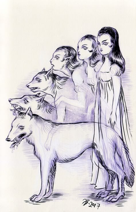 Werewolf Anatomy, Female Werewolves, Werewolf Girl, Wolf Sketch, Werewolf Aesthetic, Supernatural Creatures, The Werewolf, Werewolf Art, She Wolf