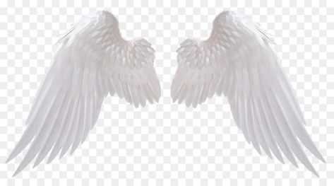 Angel Wings Png, Teenager Boy, Wings Png, White Angel Wings, Blurred Background Photography, Scary Wallpaper, New Photos Hd, Portrait Lighting, Wings Art