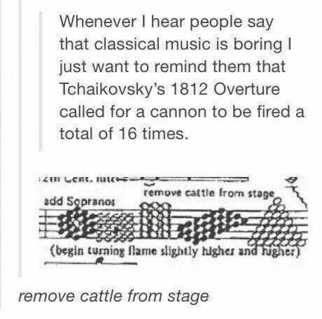 Everyone: Cannons aren't an instrument, Tchaikovsky: Watch me, B*tch! Film Memes, 1812 Overture, Classical Composers, Band Jokes, Music Jokes, Music Nerd, Band Nerd, Band Geek, Band Humor