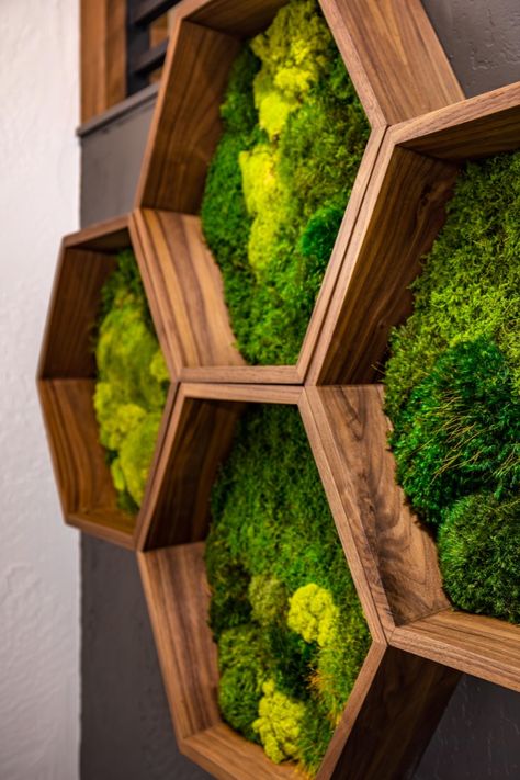 Our lovely pre-built preserved moss hexagons are a lovely and easy way to bring some greenery to a space. The hexagon shape allows for a variety of layouts and interesting designs. 

Take a look at our other pre-built moss wall panels at www.growup.green/moss-walls 

#growupgreenwalls #greenery #livingwalls #greenwall #plantwall #plants #plantbenefits #verticalgardens #biophilia #biophilicdesign #plantguide #blog #design #spring #springtime #homeoffice #bringnatureindoors Moss Brick Wall, Moss Wall Decoration, Moss Wall Ideas, Greenwall Interior Design, Hexagon Wall Design, Moss Wall Indoor, Moss Wall Design, Green Wall Ideas, Living Moss Wall