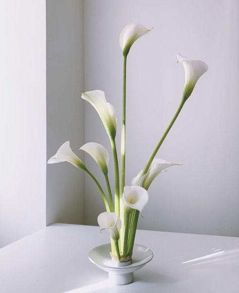 Ikebana Flowers, Calla Lily Centerpieces, Whistler Wedding, Calla Lily Wedding, Orchid Centerpieces, Earthy Wedding, Flower Arrangement Designs, Ikebana Arrangements, Ikebana Flower Arrangement