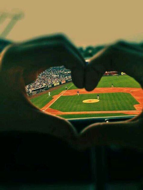 It's called loving the game. Get with it Independent Day, Baseball Quotes, Home Plate, Kc Royals, Baseball Stadium, Sf Giants, Baseball Season, Take Me Out, Baseball Game