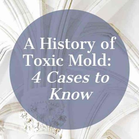 10 Empowering Things to Do While You're Stuck in a Moldy Home - The Meaningful Bits of Life Mold Smell, House Mold, Toxic Mold, Mold Exposure, Cleaning Ideas, Meaningful Life, Blood Test, House Cleaning, New Homeowner