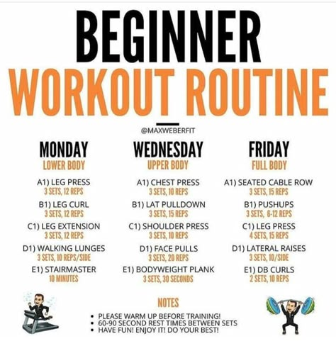 Weekly Workout Schedule For Beginners Lose Belly, Beginner Friendly Gym Routine, Gum Workouts For Women, Womens Beginner Weight Lifting Plan, How To Lift Weights For Beginners, 12 Week Gym Workout Plan For Women, Gym Workout Women Beginner, Weight Training Workouts For Fat Loss Beginners, Gym Exercises For Women Beginners