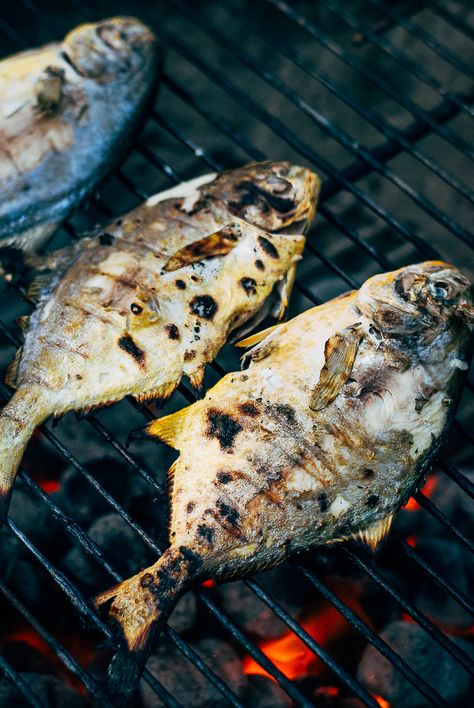 grilled pampano and summer vegetables // brooklyn supper Pampano Recipe, Pompano Recipe, Delicious Fish Recipes, Zaatar Recipe, Whole Fish Recipes, Cookout Menu, Ricotta Dip, Bbq Fish, Grilled Seafood Recipes