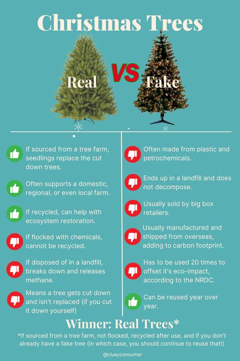 The Christmas Tree Conundrum – Real Vs Fake? Making The Best Choice As A Conscious Consumer Tree Fairy Lights, Environment Images, Tree Fairy, Fake Trees, Real Christmas, Real Christmas Tree, Local Farm, Real Tree, Cozy Feeling