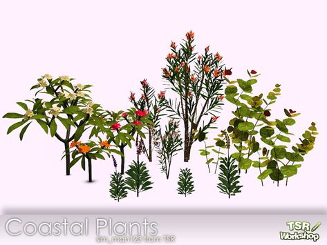 Sims 4 Outdoor Plants, Beach Plants, Cherry Blossom Vase, Coastal Plants, Sims4 House, Pool Plants, Ts4 Mods, Furniture Cc, Sims Inspiration