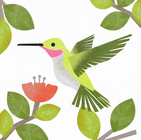 Hummingbird Hummingbird Illustration Drawing, Folk Art Hummingbird, Hummingbird Graphic, Abstract Hummingbird, Hummingbird Art Drawing, Hummingbird Illustration, Hummingbird Drawing, Hummingbird Design, Hummingbird Art