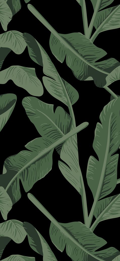 Simplistic Wallpaper, Dark Green Wallpaper, Zestaw Ikon, Iphone Wallpaper Stills, Iphone Wallpaper Hipster, Graphic Poster Art, Dark Phone Wallpapers, Abstract Iphone Wallpaper, Plant Wallpaper