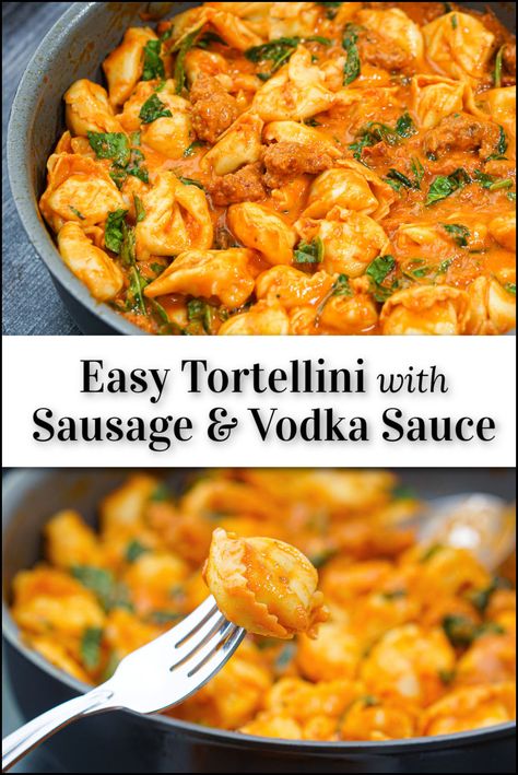 Tortellini With Vodka Sauce And Sausage, Tortellini And Sausage Recipes Easy, Sauce For Sausage Tortellini, Cheese Tortellini With Vodka Sauce, Tortellini With Pink Sauce, Pasta Recipes With Vodka Sauce, Vodka Sauce Tortellini, Bertolli Vodka Sauce Recipes, Tortellini Recipes With Sausage