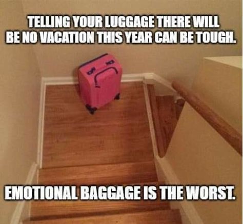 Dad jokes, emotional baggage Sarkastisk Humor, Emotional Baggage, Family Trips, Funniest Memes, Humor Funny, Dad Jokes, Funny Signs, Bones Funny, Really Funny