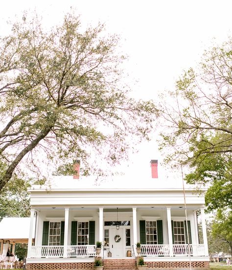 White home with tall front windows and cozy porch with southern shading trees Brick Greek Revival Exterior, Greek Revival Home Exterior, Greek Revival Exterior, Greek Revival Home, Dining Room Cozy, Antebellum Homes, Gathering Room, White Magnolia, Southern House Plans