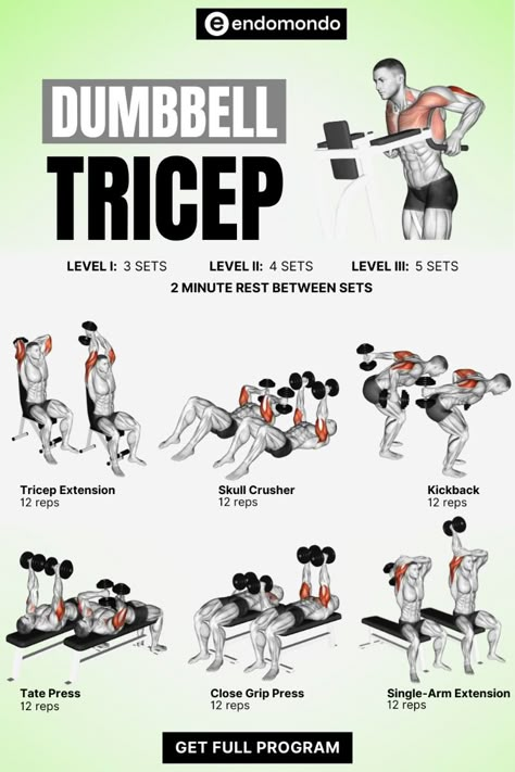 Define your arms with this dumbbell triceps workout. Build strength, tone your arms, and increase muscle definition with targeted triceps exercises. Start today! Tricep Weight Exercises, Dumbell Arm Workout Tricep, Tricep Workout Men At Home With Dumbell, Tricep Weight Workout, Tricep Dumbell Exercises, Tricep Isolation Exercises, Bicep Tricep Superset Workout, Dumbbell Bicep And Tricep Workout, Lower Tricep Workout