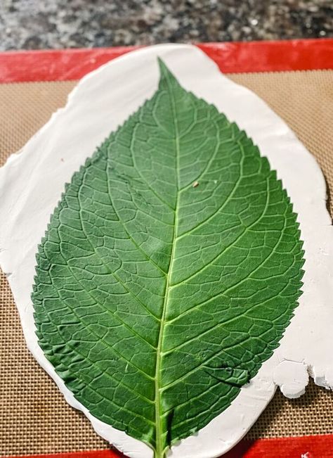 Leaf Clay Dish, Diy Clay Dish Ideas, Easy Sculptures, Air Dry Clay Leaf, Air Dry Clay Trinket Dishes, Das Clay Ideas, Oven Baked Clay, Osteoporosis Prevention, Leaf Clay