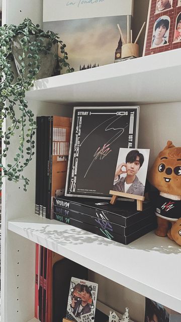 Albums Aesthetic Kpop, Stray Kids Signature, Kpop Albums Collection, Stray Kids Room Decor, Kpop Albums Shelf, Future Bedroom Ideas, Clean Your Room, Kids Shelves, Bookshelves Kids