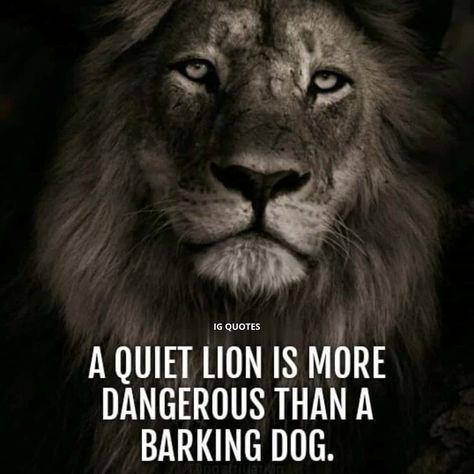 IG QUOTES | A quiet lion is more dangerous than a barking dog. . . . Follow (@igquotes51 ) more. | Instagram Dangerous Quotes, Ig Quotes, Viking Quotes, Leo Quotes, Lion Quotes, Barking Dog, King Quotes, Powerful Bible Verses, Genius Quotes