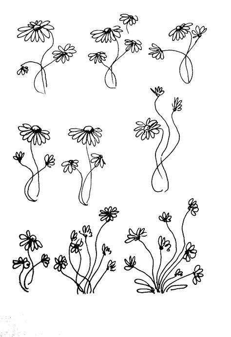 Flowers doodles 7 by Yulia Dobrodieieva. A variety of hand-painted camomile's. Liner 0.3 Camomile Flower Drawing, Camomile Drawing, Camomile Tattoo, Flowers Doodles, Daisy Doodle, Chamomile Plant, Plant Doodle, Meaningful Tattoo, Flower Doodles