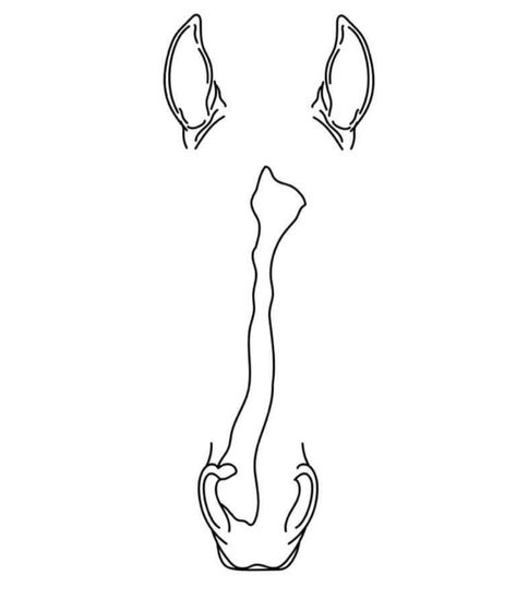 Horse Face Marking Outline Tattoo, Horse Head Silhouette Tattoo, Horse Ear Tattoo Outline, Simple Horse Shoe Drawing, Horse Profile Tattoo, Horse Blaze Outline Tattoo, Horse Face Line Tattoo, Horse Sketch Tattoo, Outline Of Horse Tattoo