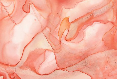 soft watercolor — Black Crow Studios Peach Passal Peach Desktop Wallpaper Aesthetic, Peach Wallpaper Laptop, Pink Orange Painting, Peach Laptop Wallpaper, Peach Wallpaper Desktop, Peach Aesthetic Header, Peach Desktop Wallpaper, Peach Colored Wallpaper, Peach Widgets