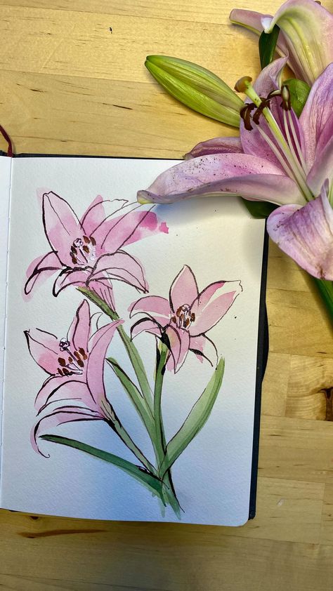 A quick watercolor and ink sketch of some pink lilies leftover from a little Easter bouquet. It is always a gift to myself to paint…even… | Instagram Ink Drawing Watercolor, Flower Sketches Watercolor, Watercolor Art Ideas Flowers, Ink And Watercolor Art Flowers, Mother’s Day Card Drawing, How To Draw A Bouquet Of Flowers, Lilies Flowers Drawing, Watercolor Paint Ideas, Watercolour Lilies