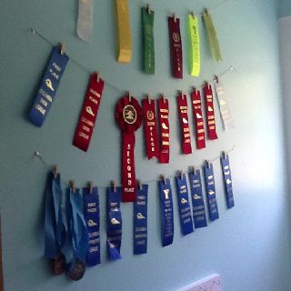 Cutest way to display ribbons !! With just string and small wooden clips  !!! Sport Ribbon Display Ideas, Display Award Ribbons, Medal And Ribbon Display Ideas, Dance Ribbon Display Ideas, Display Ribbons Awards, How To Display Award Ribbons, How To Display Ribbons, Ribbon Display Ideas, Award Wall