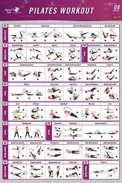 multifunctional pilates bar exercises chart - Yahoo Search Results Pilates Workout Challenge, Wand Pilates, Workout 2023, Workout Names, Pilates Bar, Mat Pilates Workout, Pilates Workout Plan, Workout Template, Wall Pilates